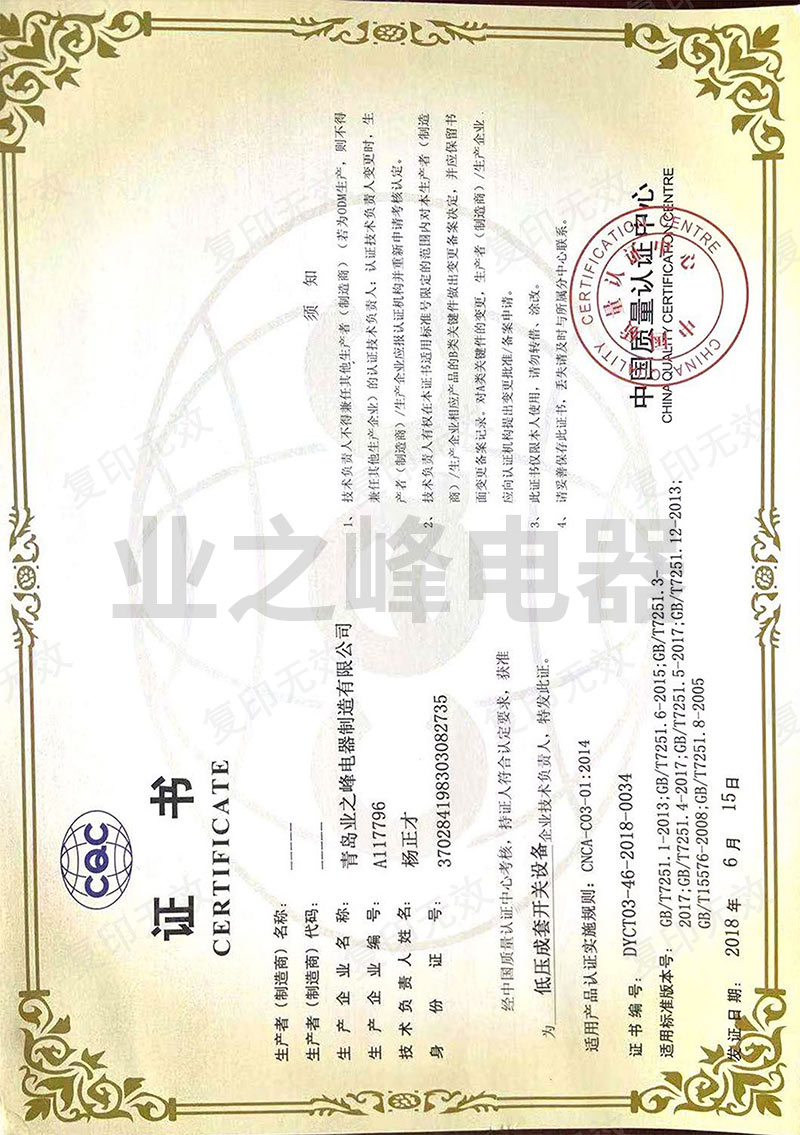 技術(shù)負(fù)責(zé)人資質(zhì)證書